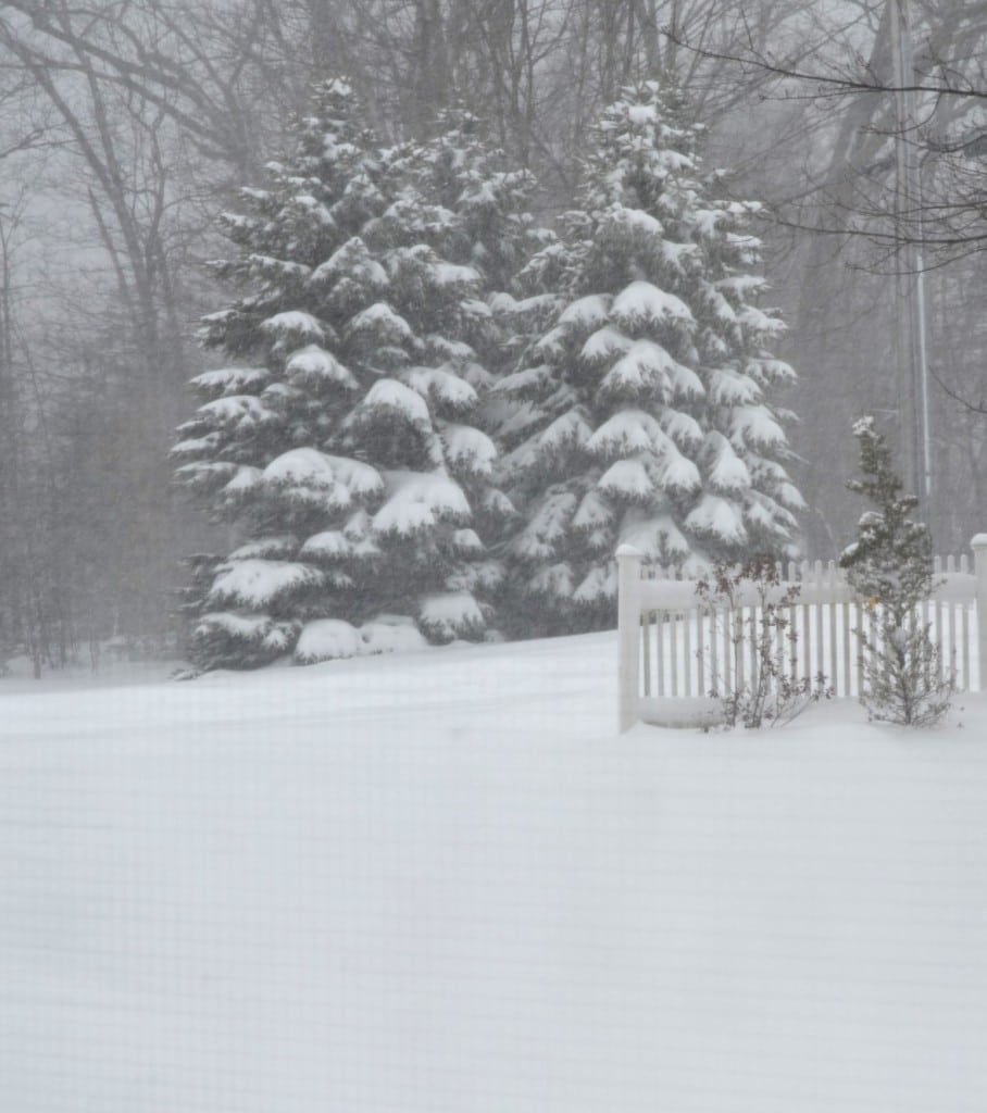 Snowstorm March 8th