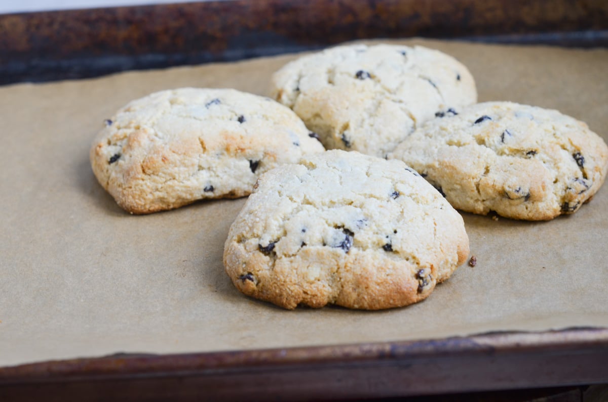 gluten-free Irish American scones on parchment paper.