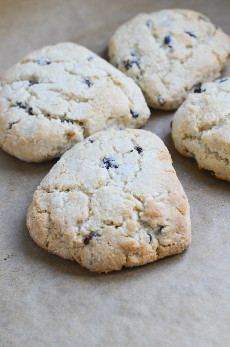 gluten-free irish american scones