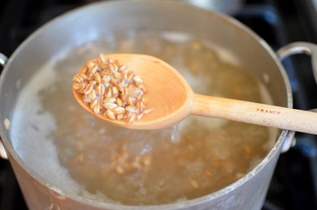 Kale, Beach and Farro Soup