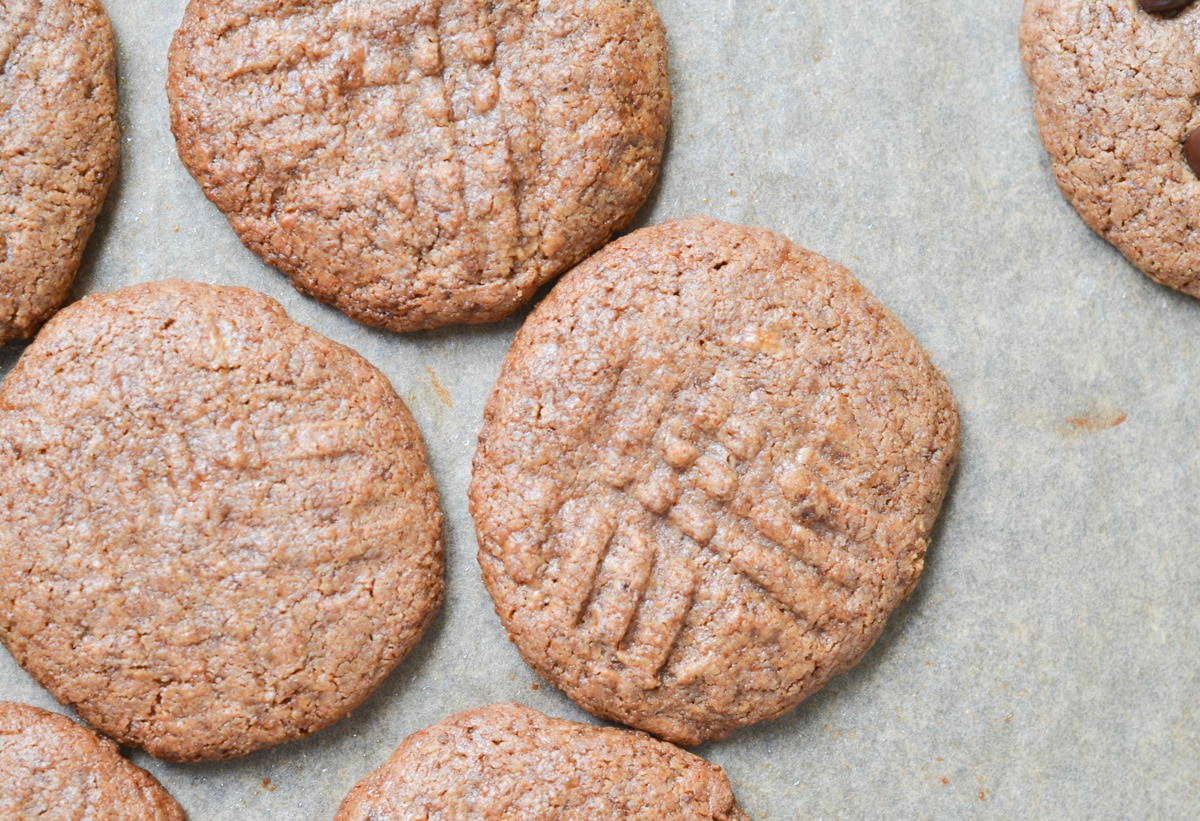 almond butter cookies on baking pan.