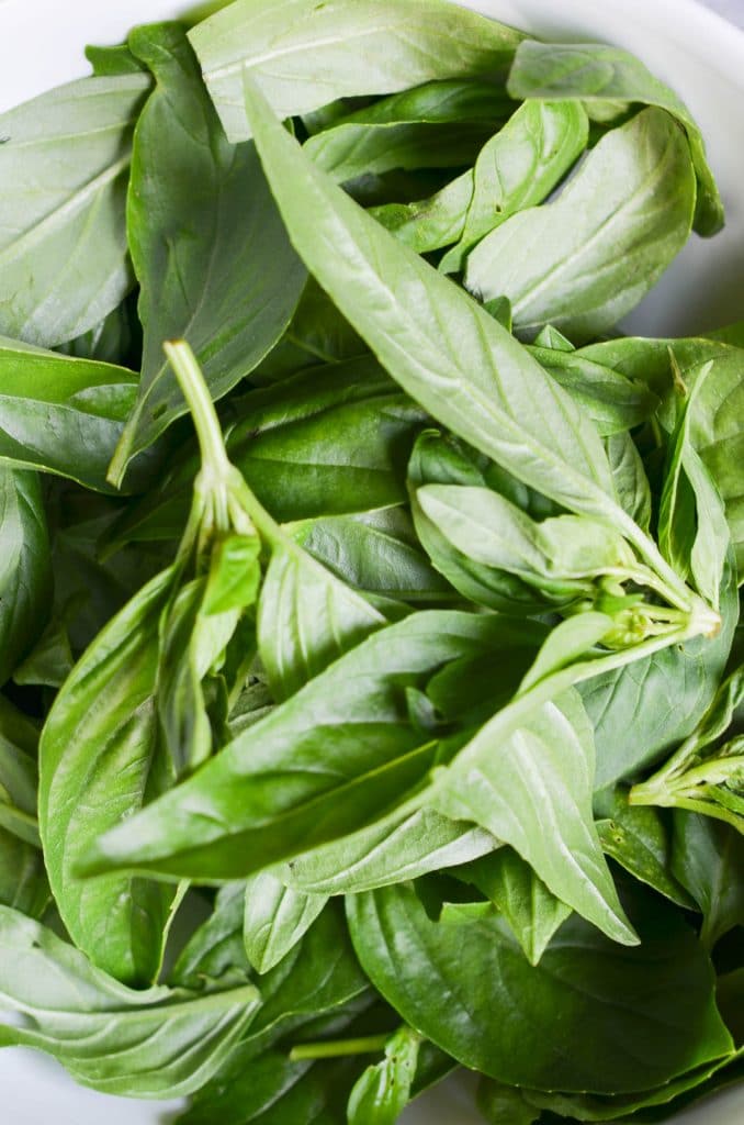 Basil leaves in bowl.