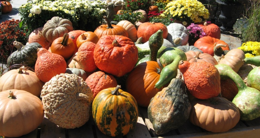 Fall New England/24 Carrot Kitchen
