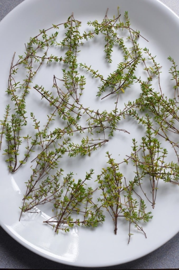 How to Dry Herbs-24 Carrot Kitchen