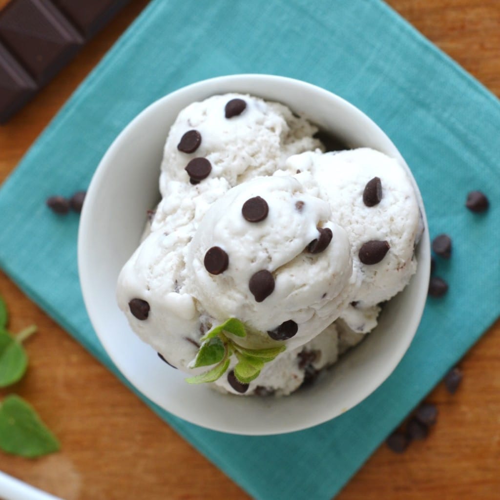 Mint Chocolate Chip Coconut Milk Ice Cream - 24 Carrot Kitchen