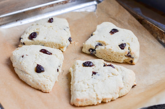 Paleo scones freshly baked out of oven on baking sheet.