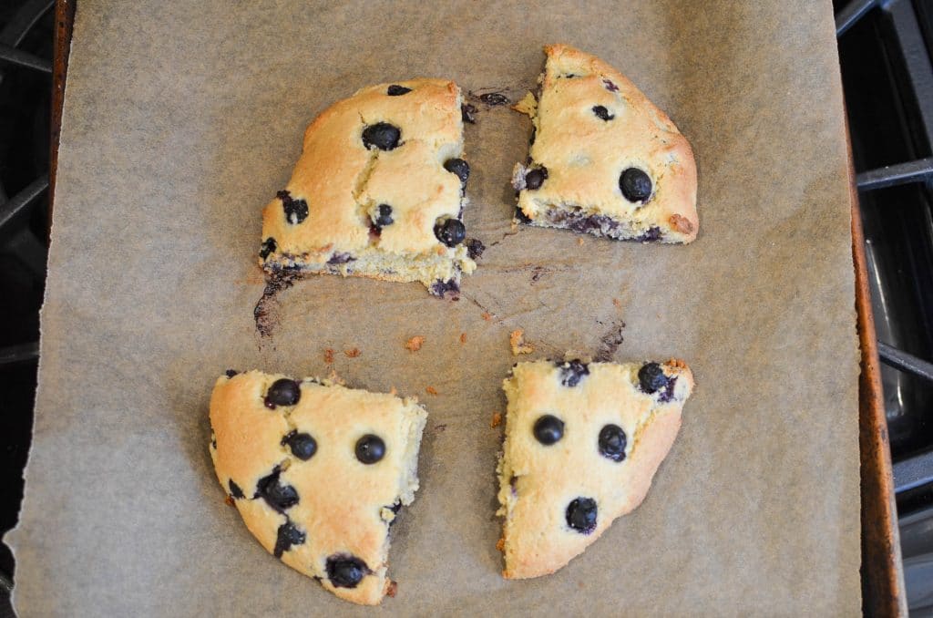 Gluten Free Blueberry Scones out of the oven - 24 Carrot Kitchen