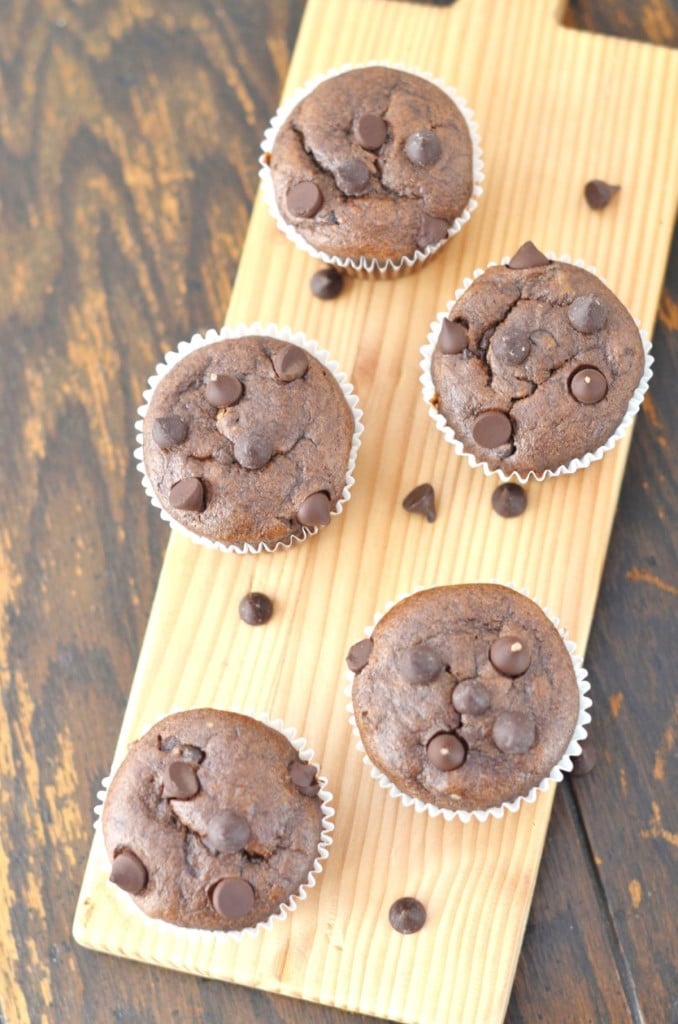 Paleo Double Chocolate Chip Muffins - 24 Carrot Kitchen