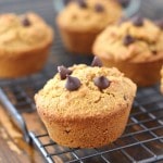 Bakery Style Grain Free Almond Flour Chocolate Chip Muffins - 24 Carrot Kitchen