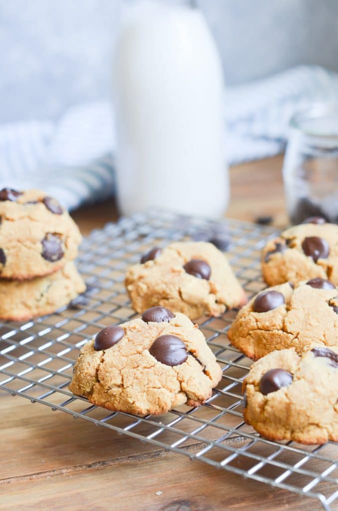 Baked cookies on cooking rack with bottle of milk behind.