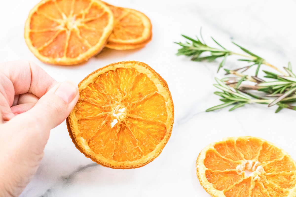 hand holding a dehydrated orange slice.